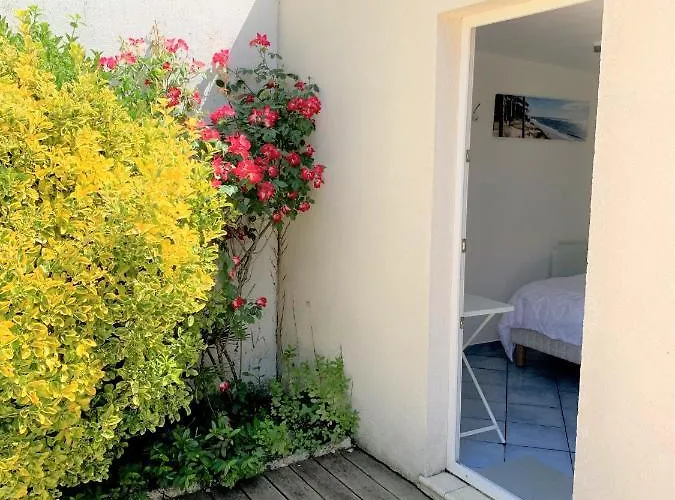 Cosy Independante Dans Jardin Verdoyant. * Le Bouscat